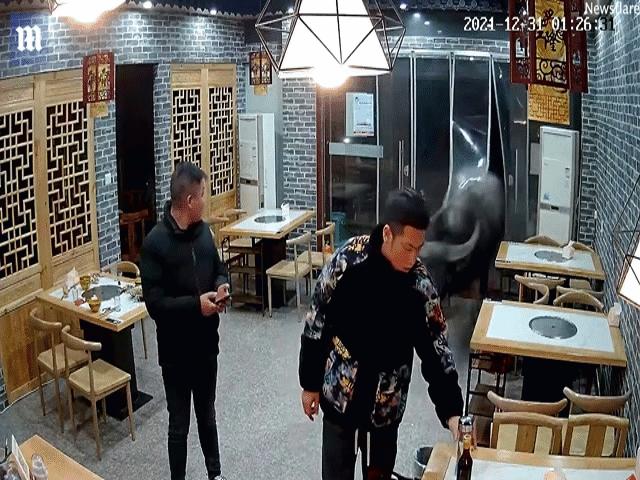 Thế giới - TQ: Đang đứng trong quán, bị trâu từ đâu lao vào gây cảnh hãi hùng