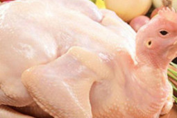 Ẩm thực - Gần ngày Tết, mách bạn cách chọn gà ngon cả trăm con như một dù là gà sống hay gà đã thịt sẵn