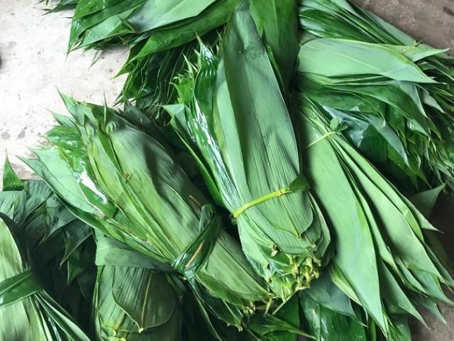 Thị trường - Tiêu dùng - Nước ngoài ưa chuộng lá sắn, lá tre, Việt Nam đem bán thu về hàng triệu USD