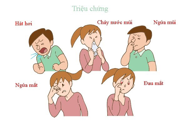 Viêm mũi dị ứng gây ra các triệu chứng khó chịu