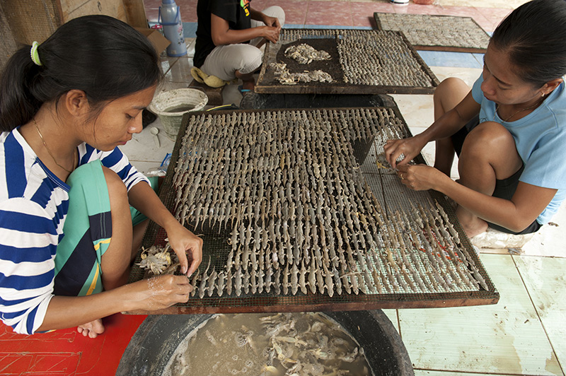 Trên thế giới, những con thằn lằn phơi khô là đặc sản nổi tiếng của Indonesia.
