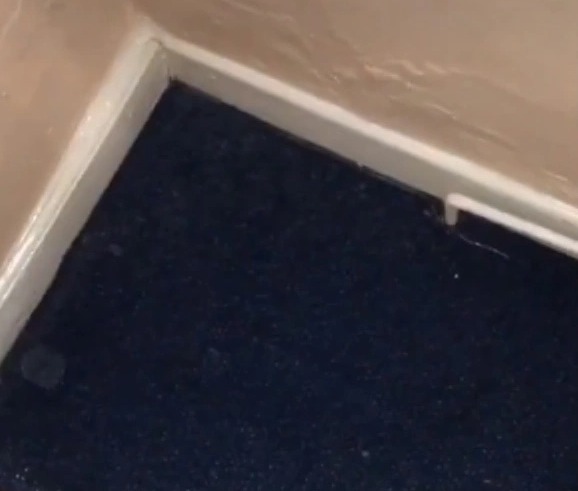 Clip: Cô gái phát hiện ra bí mật dưới tấm thảm trong phòng ngủ gây xôn xao - 2