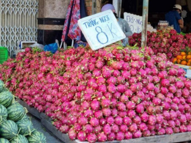 Thị trường - Tiêu dùng - Hàng trăm tấn thanh long sắp thu hoạch, tiêu thụ cách nào?
