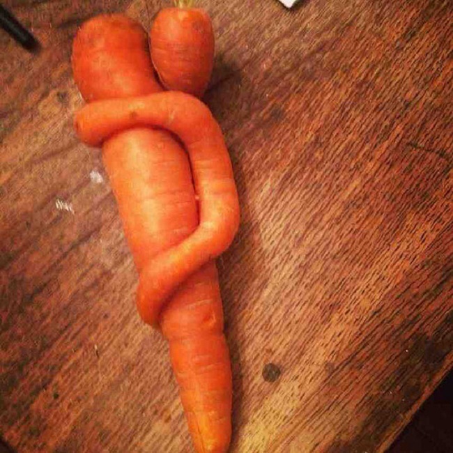 Một chú cà rốt con không nỡ rời xa mẹ của mình.
