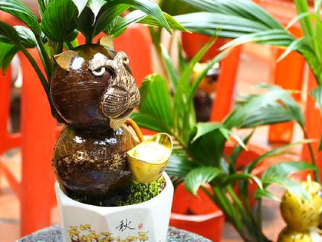 Video - VIDEO: Tạo hình hổ từ bonsai dừa tiền triệu vẫn hút khách chơi Tết
