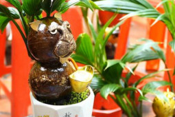 Tin tức trong ngày - VIDEO: Tạo hình hổ từ bonsai dừa tiền triệu vẫn hút khách chơi Tết