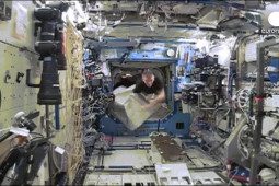 Thế giới - Video: "Khỉ đột" đuổi phi hành gia chạy trối chết ngoài vũ trụ