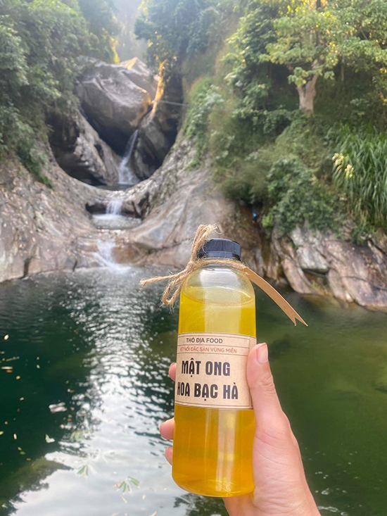 Mua mật ong bạc hà chuẩn rừng thiên nhiên ở đâu? - 1