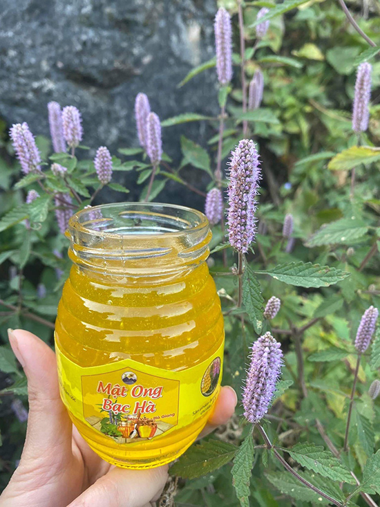 Mua mật ong bạc hà chuẩn rừng thiên nhiên ở đâu? - 2