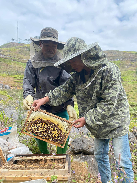 Mua mật ong bạc hà chuẩn rừng thiên nhiên ở đâu? - 4