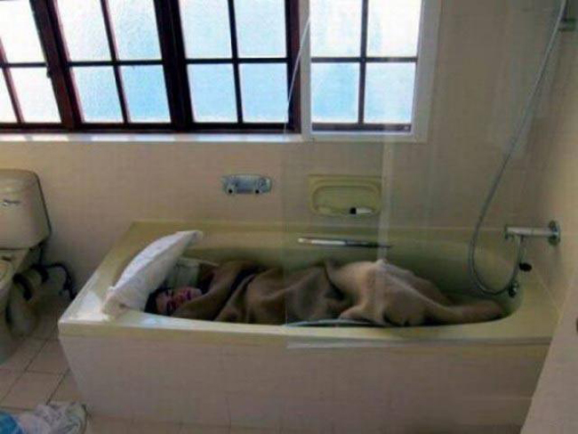 Hậu quả của việc đi nhậu về muộn đây mà.
