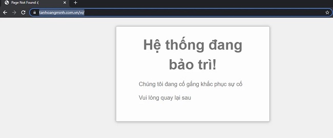 Hình ảnh&nbsp;website chính thức của tập đoàn Tân Hoàng Minh