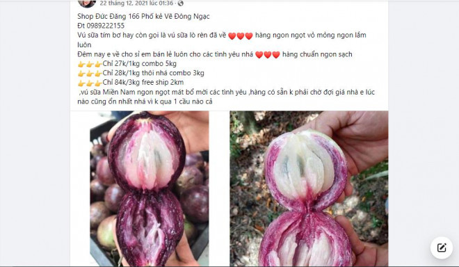 Điều đặc biệt của quả vú sữa Lò Rèn rất to và tròn. Những quả to nhất có thể to hơn cả bát ăn cơm. Vỏ trái vú sữa có màu xanh lục nhạt, rất bóng. Khi chín vỏ chuyển sang màu hơi tím tía hoặc nâu tía ánh lục. Khi ăn sẽ có mùi hương nhẹ, “ngọt tận tâm can” nhưng vị ngọt rất thanh, không gắt.