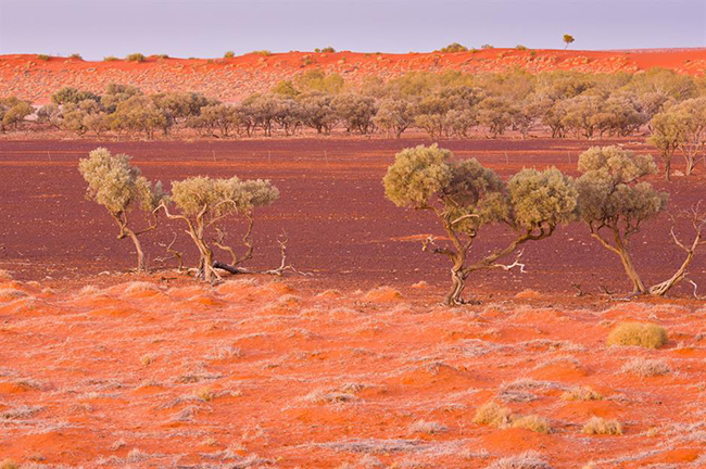 Queensland, Úc - 69°C: Thung lũng Chết có thể giữ kỷ lục về nhiệt độ không khí cao nhất từng được ghi nhận, nhưng có nơi khác còn nóng thiêu đốt hơn. Đó là nhờ phép đo 'nhiệt độ trên đất liền' của NASA. Vào năm 2003, các vệ tinh của NASA đã ghi nhận nhiệt độ tới 69,3°C tại vùng đất ở Queensland, Úc.

