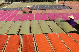 Thị trường - Tiêu dùng - Làng nghề sản xuất món đặc sản bình dân tất bật những ngày cuối năm