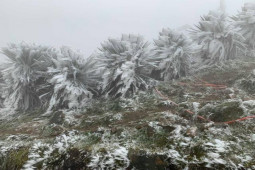 Tin tức trong ngày - Miền Bắc sắp chuyển rét đậm, có nơi dưới 5 độ C, khả năng xảy ra băng giá