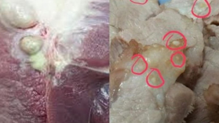 Thịt lợn nếu có 3 dấu hiệu này tuyệt đối không được mua dù giá rẻ như cho