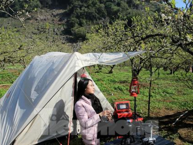 Bạn trẻ - Cuộc sống - Rừng hoa mận nở trắng trời Mộc Châu thu hút giới trẻ lên cao nguyên cắm trại