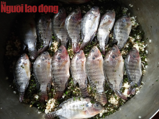 Món mắm ruộng của người Tày