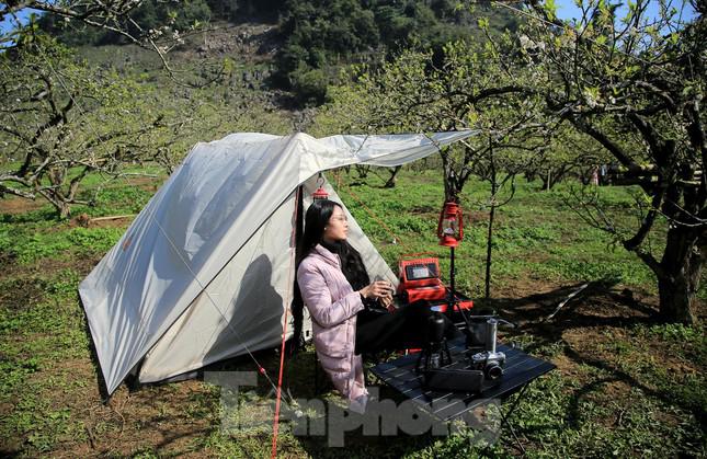 Rừng hoa mận nở trắng trời Mộc Châu thu hút giới trẻ lên cao nguyên cắm trại - 10