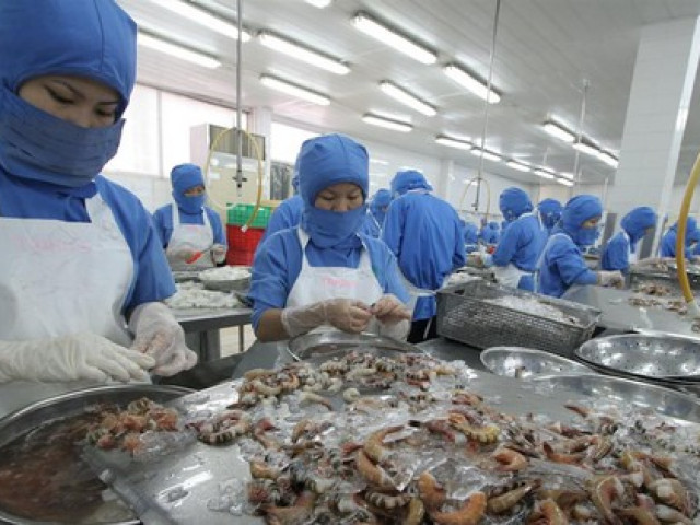 Kinh doanh - Quy định kiểm dịch vô lý, doanh nghiệp tốn trăm tỷ/năm