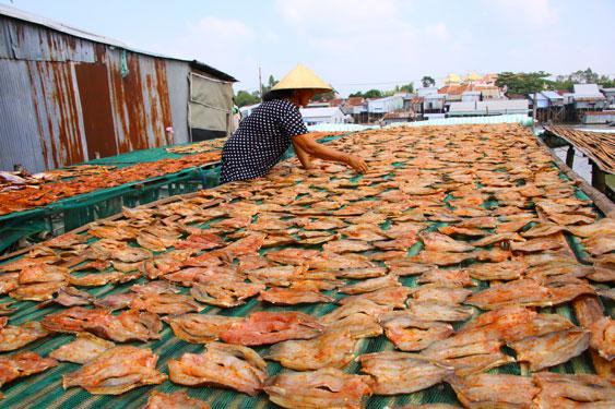 Làng nghề sản xuất khô, mắm ở phường An Lạc, TP Hồng Ngự, tỉnh Đồng Tháp hối hả chuẩn bị hàng Tết .Ảnh: TÂM MINH