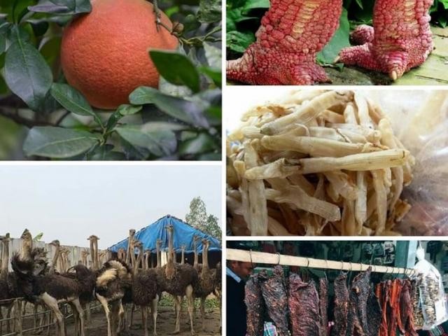 Thị trường - Tiêu dùng - Những đặc sản đắt đỏ ngày Tết, giá tiền triệu vẫn được săn lùng ráo riết