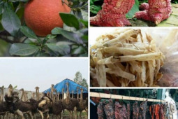 Thị trường - Tiêu dùng - Những đặc sản đắt đỏ ngày Tết, giá tiền triệu vẫn được săn lùng ráo riết