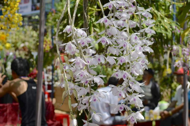 Để giải quyết vụ án hình sự, cơ quan có thẩm quyền tiến hành tố tụng ra văn bản yêu cầu định giá tài sản. Ảnh: NGÂN NGA