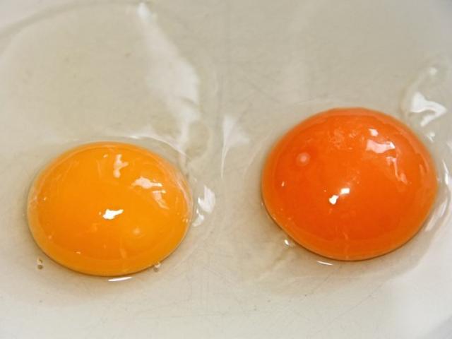 Ẩm thực - Có phải lòng đỏ trứng càng sẫm màu càng bổ dưỡng? Chuyên gia chỉ ra 2 yếu tố quyết định