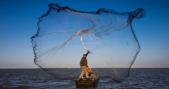 Một ngư dân quăng lưới đánh bắt ở tỉnh Giang Tô, Trung Quốc. (Ảnh: Xinhua)