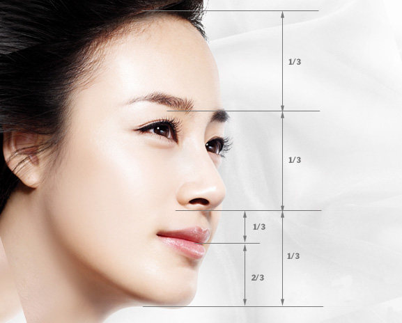 Có nhiều tiêu chí để đánh giá một chiếc mũi đẹp.