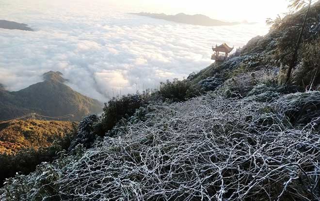 Sương muối xuất hiện trên đỉnh Fansipan khi nhiệt độ giảm xuống dưới 0 độ C. Ảnh: Báo Lào Cai.