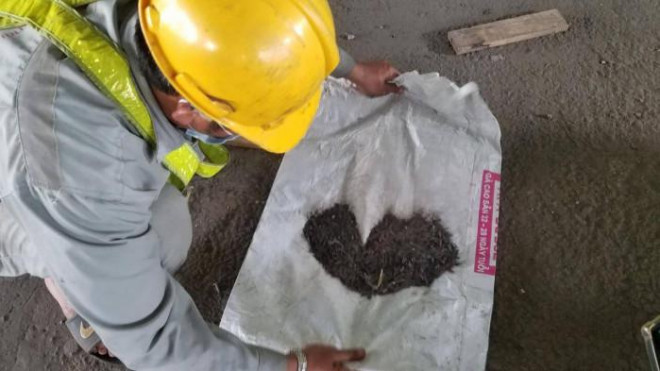 Đinh tặc tái xuất dịp cận Tết khiến nhiều người dân lo lắng.