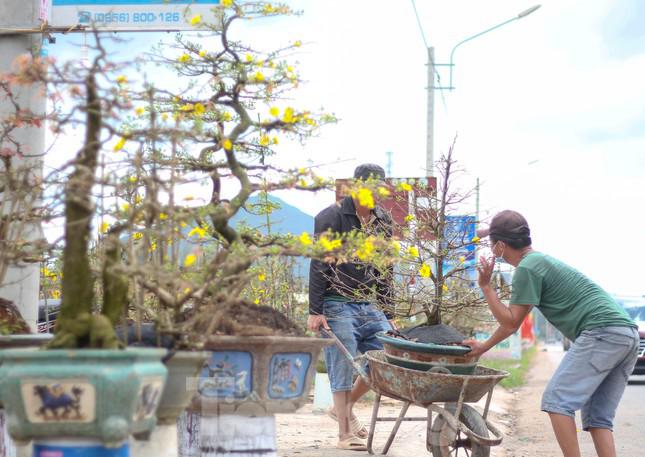 "Thị trường năm nay chậm quá, bữa giờ cũng chỉ bán được lai rai vài ba cây chứ không được nhiều, chủ yếu khách đi đường xa chứ dịch COVID-19 khách cũng không ghé được nhiều", ông Bùi Văn Ngọc (41 tuổi, thị xã Nhơn An) chia sẻ thêm.