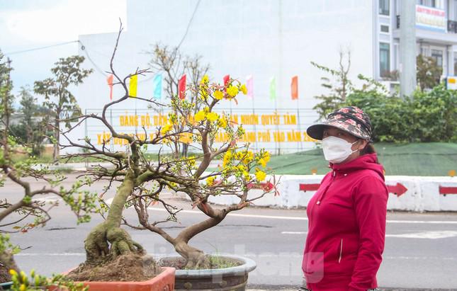 Bà Ngô Thị Thanh Huyền (40 tuổi, thị xã An Nhơn) cho hay, bà thuê 1 lô đất giá 5,5 triệu đồng để đưa mai lên bán, tuy nhiên, bữa giờ cũng không bán được bao nhiêu. Theo bà, mọi năm, thời điểm này, mỗi ngày tại bãi cũng bán được vài chục cây, nhưng năm nay thì có ngày cũng không bán được cây nào. Thỉnh thoảng có xe tải, xe khách đi đường xa đi ngang ghé mua 1, 2 cây chứ cũng không được nhiều.