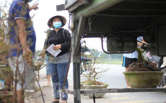 Vắng khách, các chủ vườn ở ''thủ phủ'' mai vàng miền Trung rao cây trên mạng xã hội - 8