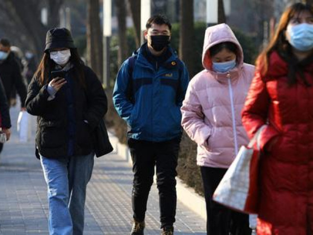 Thế giới - Thiệt hại của "Không Covid-19" quá lớn