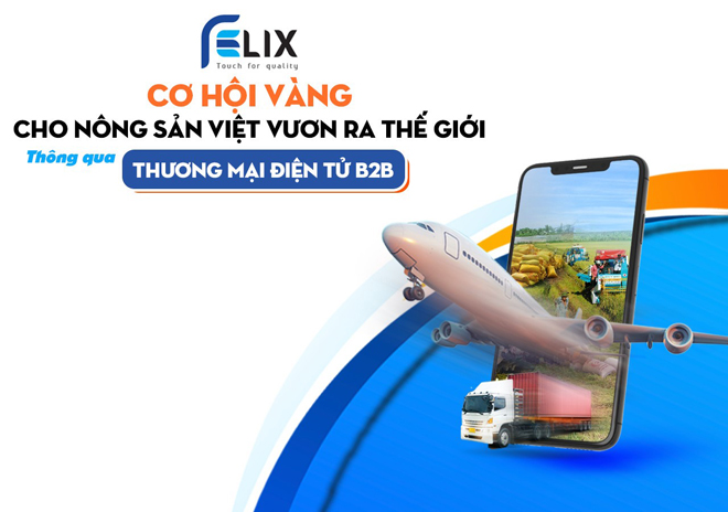 Thương mại điện tử B2B của Việt Nam sẽ gặt hái được gì ở thị trường quốc tế? - 3