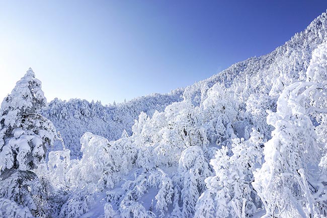 Khung cảnh tuyết trắng tuyệt đẹp trên ngọn núi nổi tiếng nhất Trung Quốc - 2