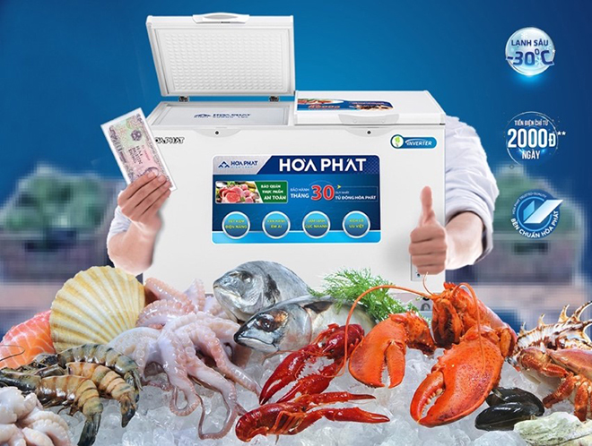 Các dòng tủ đông dàn đồng máy nén Inverter tiết kiệm điện rất được ưa chuộng, nổi bật là tủ đông Hoà Phát có công suất chỉ từ 50W, tiền điện chỉ từ 2.000Đ/ngày