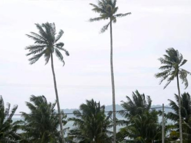 Thế giới - Tổ chức của Mỹ phát hiện các tàu nạo vét ở quân cảng Ream của Campuchia