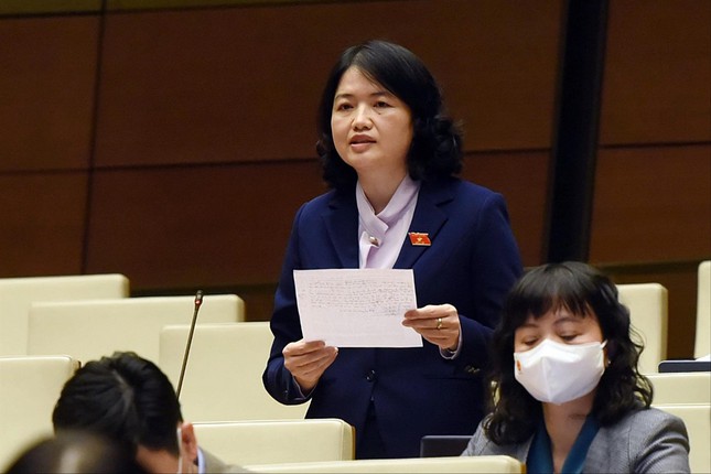 Đại biểu Quốc hội Nguyễn Thị Mai Thoa