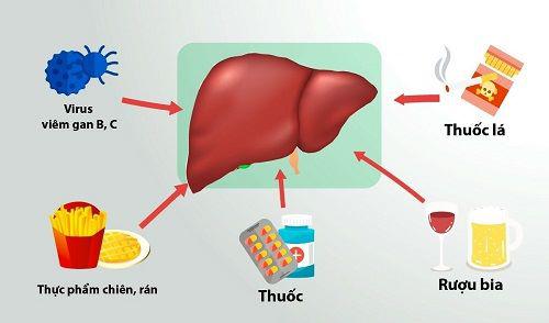 Bí quyết giải độc gan trước kỳ nghỉ lễ - 1