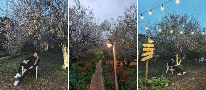 Ngắm mùa hoa Mộc Châu qua lăng kính chàng kiến trúc sư 9X - 2