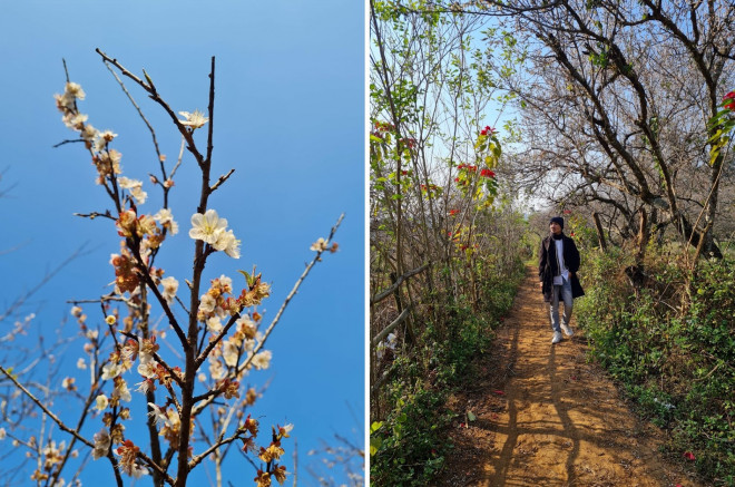 Ngắm mùa hoa Mộc Châu qua lăng kính chàng kiến trúc sư 9X - 5