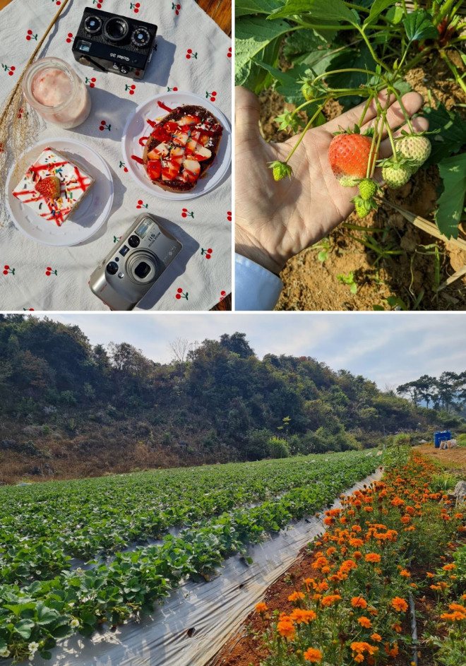 Ngắm mùa hoa Mộc Châu qua lăng kính chàng kiến trúc sư 9X - 11