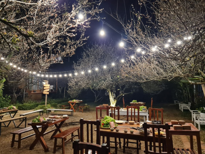 Ngắm mùa hoa Mộc Châu qua lăng kính chàng kiến trúc sư 9X - 12