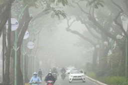 Tin tức trong ngày - Ngỡ ngàng hình ảnh Hà Nội sương giăng khắp lối như Sa Pa