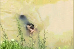 Phi thường - kỳ quặc - Video: 'Anh hùng' chó ngậm chú nai con bơi cứu khỏi dòng sông